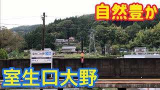 自然豊かな室生口大野駅に行ってきた！