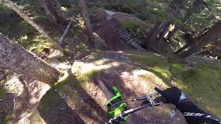 Trespasser (Whistler) in 2017 - Remy Metailler