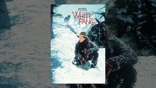 White Fang