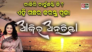 ଚାକିରୀ ଚାଁହୁଛନ୍ତି କି ? ଏହି ଗଛର କରନ୍ତୁ ପୂଜା | EP-202 | Dtv Odia | Ajira Anuchinta | Nitibani odia