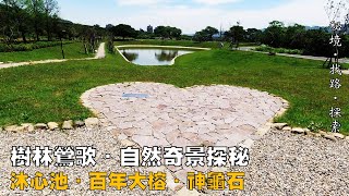 【秘境．找路．探索】都市邊緣的自然奇景~~鶯歌小旅行(Ⅰ)：探訪樹林鶯歌一帶心型池、丘陵上百年老榕與神龜石NO.2021.75