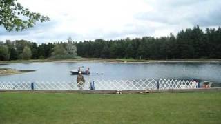 Fergus - Portuguese Water Dog - Water Trials