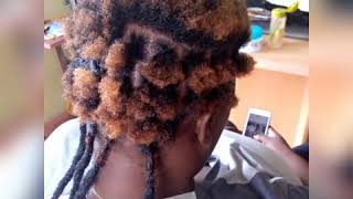 Starter locs with short hair and Dread extension.
