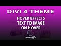 Divi Theme Hover Effects Text To Image On Hover 😎