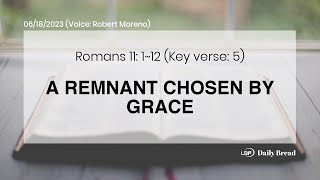 A REMNANT CHOSEN BY GRACE, Rom 11:1~12, 06/18/2023 / UBF Daily Bread #UBF