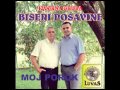 BISERI POSAVINE - Sazorilo voće (Official Audio)