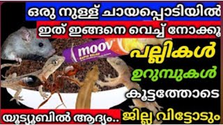 ചായപ്പൊടിയിൽ ഇങ്ങനെ ചെയ്യൂ പല്ലി എലി ഉറുമ്പ് ജില്ല വിട്ടോടും/Amazing hacks/@RifthasKitchen