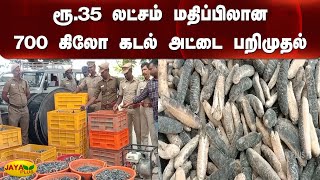 ரூ.35 லட்சம் மதிப்பிலான 700 கிலோ கடல் அட்டை பறிமுதல் | Sea cucumber | Ramanathapuram