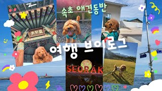 속초 여행 1박2일 | 애견동반여행 | 금호설악리조트 | 속초 애견동반식당 카페 | 청간해변