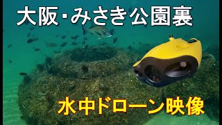 明けましておめでとうございます！大阪・みさき公園裏の水中ドローン映像[ROV]