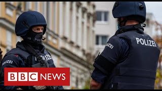 British man accused of spying for Russia is arrested in Germany - BBC News