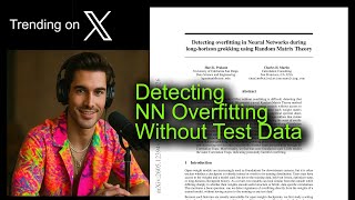 Detecting NN Overfitting Without Test Data