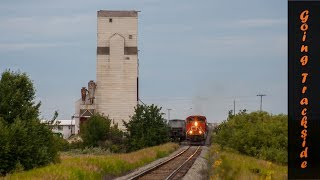 Westray Coal Hoppers, Prairie Dogs, and a Canadian National Eastbound | Marshall, SK July 18, 2017