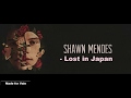 Shawn Mendes - lost in japan Lyric video