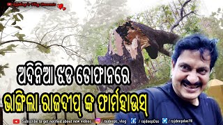 ଅଦିନିଆ ଝଡ ତୋଫାନରେ ଭାଙ୍ଗିଲା ରାଜଦୀପ୍ ଙ୍କ ଫାର୍ମହାଉସ୍  | Rajdeep's Vlog - 189