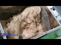 promax mx 100 meat mixer