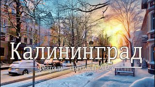 Калининград: Февраль -  ❄️снегопад 2025❄️