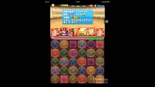 【パズドラ】【チャレンジダンジョン！７】Lv9 ノーコン 覚醒ミネルヴァ PT