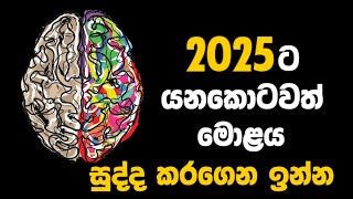 2025 දිනන්න කලින් බලන්නම ඕන වීඩියෝ එක | How to cure brain rot