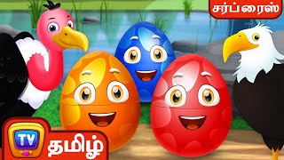 பறவைகள்  பற்றி  கற்போம் - Let’s learn about Birds - ChuChu TV Tamil Surprise Eggs