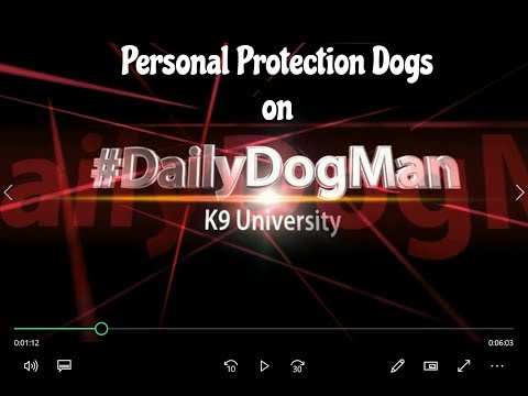 How to choose a dog for Personal Protection How to choose a dog for Personal Protection