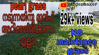 pearl grass നടുന്നതിനു മുൻപ് video കണ്ടു മനസിലാക്കി നടാം #pearlgrass  അറിയേണ്ടത് എല്ലാം #gardenmaker