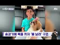 승강기에 목줄 껴 버둥버둥 …몸 날려 강아지 구조한 소년 쇼츠트랙 jtbc 뉴스5후