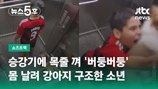 승강기에 목줄 껴 '버둥버둥'…몸 날려 강아지 구조한 소년 #쇼츠트랙 / JTBC 뉴스5후