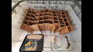 New Cricket Bin Set up / Schubugs Vlog 50