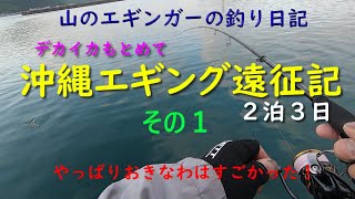 ３ヶ月ぶりの エギング は デカイカ 求めて2泊3日の 沖縄 遠征！ やっぱり南の島はすごかった！