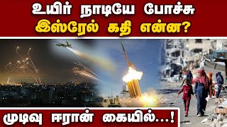 இஸ்ரேலின் பிரமாஸ்திரமே காலி... எதிர்பார்க்காத ட்விஸ்ட் | Israel vs Iron | Israel vs Hezbollah | Ham