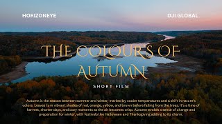 The Colour's of Autumn | DJI MAVIC 3