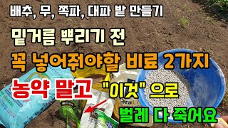 김장배추 무 쪽파 대파밭 만들기 밑거름 뿌리기 전 꼭 넣어줘야할 비료 2가지 농약 말고 토양살충제 이것으로 벌레 다 죽입니다 배추무우 심는시기