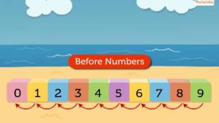 Before and After Numbers | Mathematics Grade 1 | Periwinkle