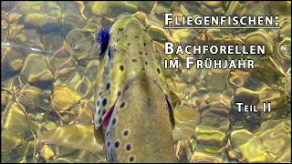 Fliegenfischen auf Bachforelle im Frühjahr Teil II - Fliegenfischen im Harz (Flyfishing browntrout)