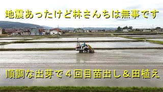 ４回目の苗出しとコシヒカリの田植えを半日してお休みです・中締めの焼き肉に出動します・2023