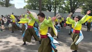 原宿表参道元氣祭スーパーよさこい 2022   学生よさこいチームおどりんちゅ