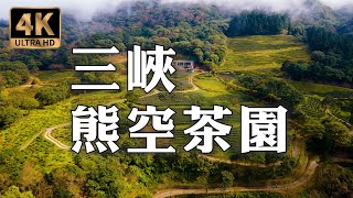 熊空茶園｜三峽｜Relaxing ASMR Drone Music