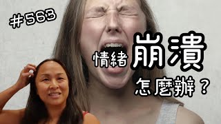 第五百六十三集 當你的人生覺得面臨太多崩潰的情緒而難以重新開始的時候