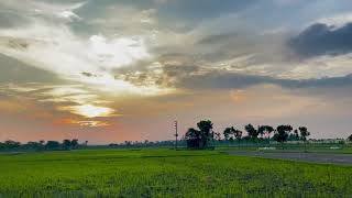 Natural beauty of a village.. Location : Raipura, Narsingdi