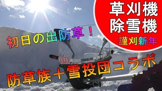 【草刈機】初日の出防草！謹刈新年！【防草族+雪投団コラボ動画】【除雪機】