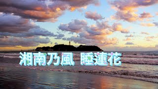 湘南乃風   睡蓮花 (歌詞入り)