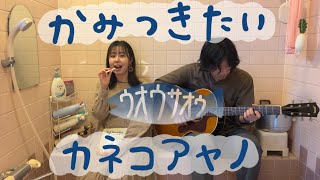 かみつきたい／カネコアヤノ〜お風呂場はまほろば〜