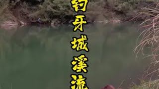 野钓钓了只大宝贝太开心了… 结果……… 沉浸式体验秋冬钓鱼的快乐 野钓 2024dou来钓鱼 解锁秋冬钓鱼爆护的秘密 米极江湖日夜两用漂