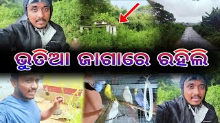 କାହିଁକି ନିଛାଟିଆ ରାସ୍ତାରେ ରହିଲି 🤭||Odia Vlogs ||Trilochan Lopamudra Vlog