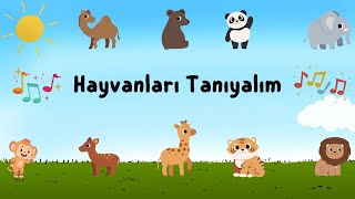 Sevimli Hayvanlar Şarkısı - EĞİTİCİ ÇOCUK ŞARKILARI