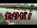 （関東バス釣りスポット）見つけてしまった埼◯にある◯◯川超激熱ポイント！