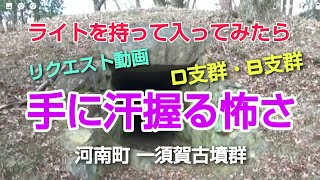 ライトを持って入ってみたら・・手に汗握る怖さ！！封土した古風の石室に入ります。D支群・Ｂ支群　一須賀古墳群　大半は直径10～20メートル程度の円墳です。リクエスト動画