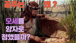 97. 바로의 공주는 왜 하필 모세를 양자로 정했을까? 모세는 왜 살인 후 도망가야 했을까? 출애굽기 2:1-15