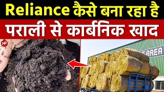 पराली से कार्बनिक खाद बना रहा Reliance || organic manure from Paddy Stubble 🌾 || Waste to wealth 💰